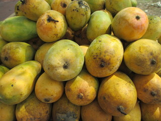 Group mangoes kept well stocked