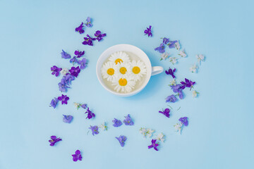 Obraz na płótnie Canvas Cup with daisies on blue background. natural medicines and cosmetics.