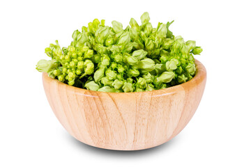 Cowslip creeper in wooden bowl isolated on white background with clipping path