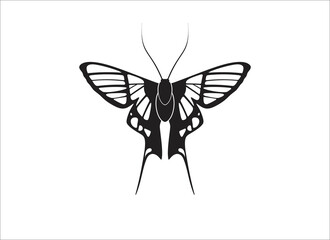 Butterfly silhouette vector illustration