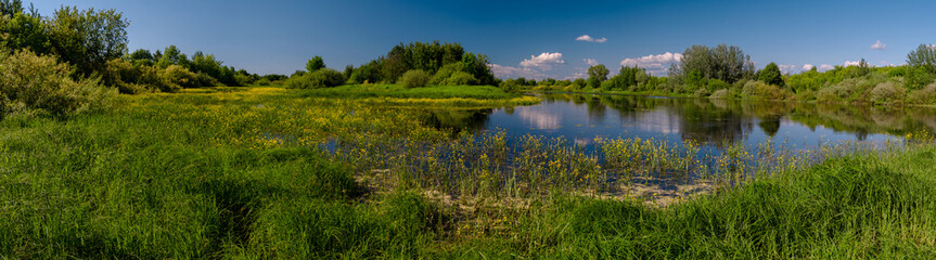 Fototapeta na wymiar Summer dream lake with nature view.