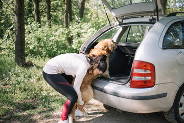 Girl and dog going home after a walk in park. Woman lifting dog in open car trunk after a walk in park.