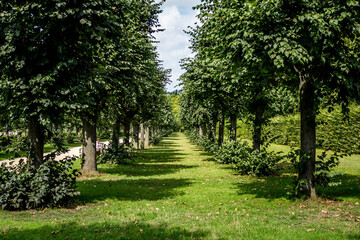 path in the park