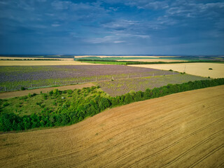 Fototapeta na wymiar Aerial view of a landscape with lavender field