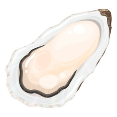 牡蠣のイラスト