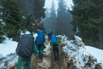 Hikers with backpacks walking into dirty trails through forested snowy mountains