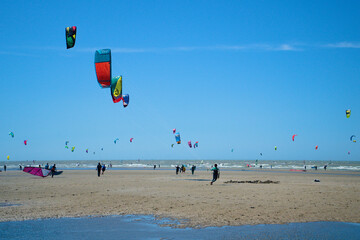 Kitesurfers at sea enjoying the wind on a sunny and beautiful day 