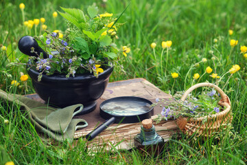 Mortar of medicinal herbs, old book, infusion bottle, basket and magnifying glass on a grass on meadow outdoors.