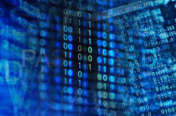 Program code on a monitor