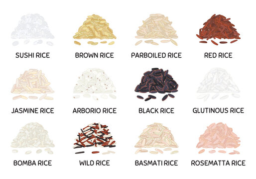 Set of hand drawn vector handful of rice