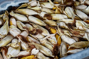 heap of corn close-up lots of
