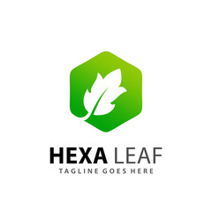 Abstract Gradient Hexagon Leaf Logo Design Vector Illustration