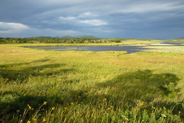View at Lotos lake. Outskirts of Khasan town. Primorsky Krai (Primorye), Far East, Russia.