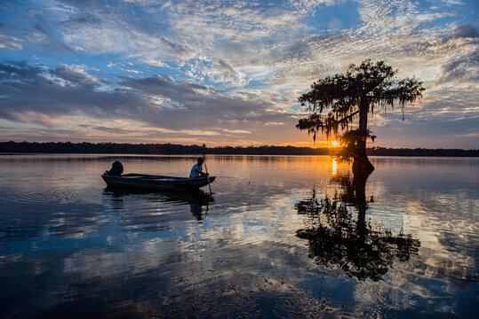 Silhouettes of Fisherman in Boat and Cypress Tree All Reflected in Waters of Lake Martin at Sundown in Louisiana