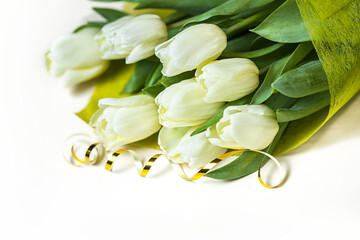 Whtie tulips on white background.