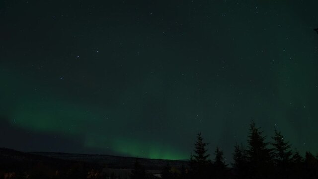 aurora borealis on night sky over spruce trees, timelapse