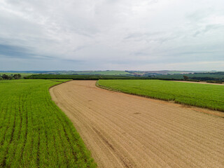 Fototapeta na wymiar Aerial sugarcane field in Brazil