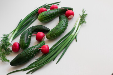 Assorted vegetables from cucumbers, radishes, green onions and dill on a white background