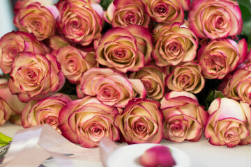 Pink roses on a white table, top view