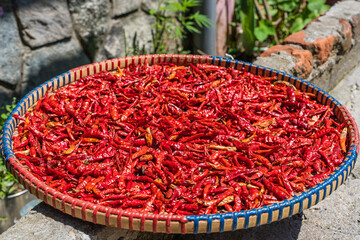 Chilli peppers drying on the sun Stock photo.