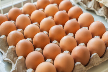 Chicken eggs in paper tray, stock photo.