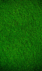 Artificial grass background	