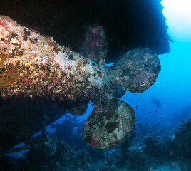 Scuba divers explores propeller of sunken shipwreck. Red sea, Egypt. 