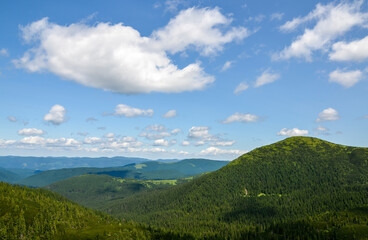 Summer landscape of green Carpathian mountains with dense vegetation, top of the green hills under blue cloudy sky.