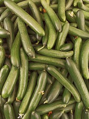 cucumbers long ripe fresh healthy food