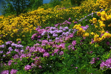 The magnificent nature of the Black Sea