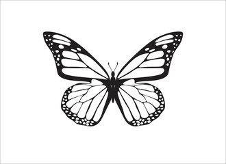 Butterfly silhouette vector illustration