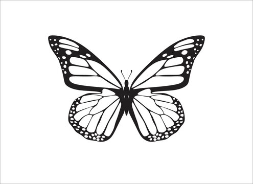  Butterfly silhouette vector illustration