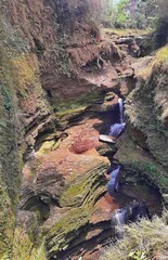 the nature is beautiful