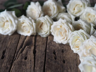 Floral card. Beautiful white rose on a wooden background.