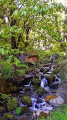 the nature is beautiful