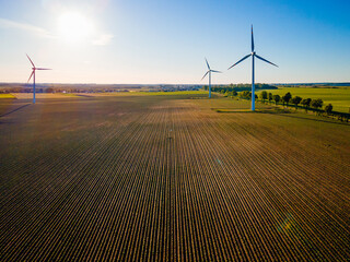 Wind farm in agricultural fields