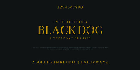 Elegant awesome alphabet Classic Lettering Typography fonts. vector illustration © Luke Project