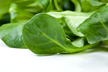 leaves of corn salad, lamb's lettuce, common cornsalad, feldsalat, Valerianella locusta, valeriana insalata