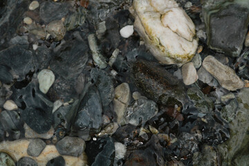 pebbles on the water