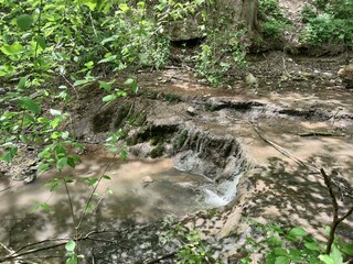 Forest stream with a waterfall among gray stones. On the stones are yellow and green moss and lichens. Around the plant are green leaves and grass with yellow flowers. Saharna- Moldova