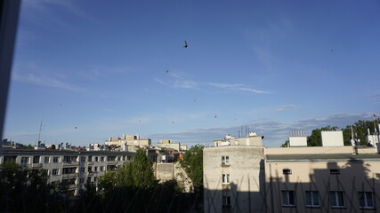 06.06.2020 balony © Andrzej