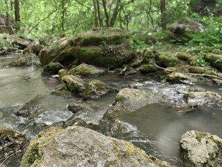 Naklejka na ściany i meble Forest stream with a waterfall among gray stones. On the stones are yellow and green moss and lichens. Around trees and plants with green leaves and grass with yellow flowers. Saharna- Moldova