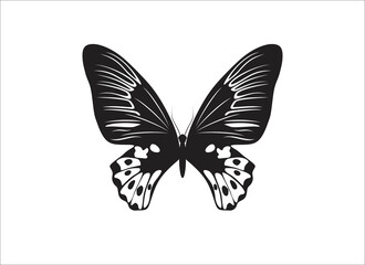 Butterfly silhouette vector illustration