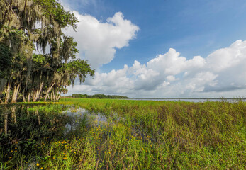 Fototapeta na wymiar Upper Myakker Lake in Myakka River State Park in Sarasota Florida in the United States