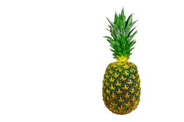 beautiful bright whole fresh yellow green juicy juicy pineapple upright straight up isolated on a white background