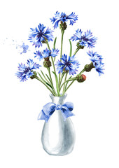 Bouquet of blue flowers cornflower in a vase with a ribbon. Hand drawn watercolor illustration, isolated on white background