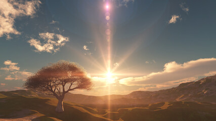 sunset at meadow and lonely tree © aleksandar nakovski