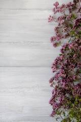   Marjoram or oregano (lat. Oríganum vulgáre) on a white wooden background. Medicinal herb.  Place for text.          