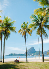 beautiful picture of flamingo beach overlooking mount sugar loaf and local brazilian atmosphere...