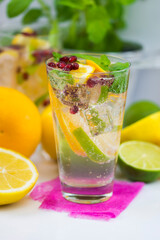 Fizzy mineral water with lemon, lime and orange slices garnished with mint leaves and pomegranate.